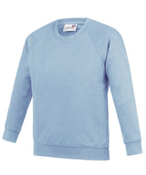 Kids Academy raglan sweatshirt — Academy Sky
