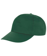Houston 5-panel printer's cap — Bottle