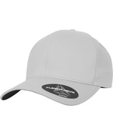 Flexfit delta adjustable (180A) — Silver