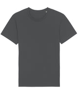 Rocker the essential unisex t-shirt (STTU758) — Anthracite*