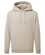 Anthem Studio hoodie — Stone