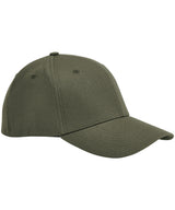 EarthAware® organic cotton stretch-fit cap — Olive Green
