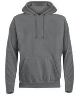 Hooded sweatshirt — Grey