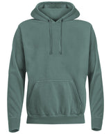 Hooded sweatshirt — Light Green