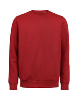 UM Crewneck Regular Fit OCS/RCS — Brick