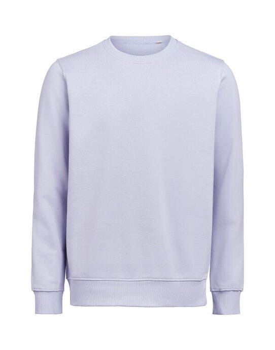 UM Crewneck Regular Fit OCS/RCS