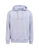 UM Hoodie Regular Fit OCS/RCS — Aster