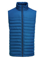 James Harvest Arches Vest — Blue