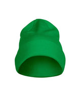 Printer Flexball Beanie — Fresh Green