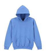 Heavy Blend™ youth hooded sweatshirt — Carolina Blue