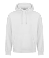 College hoodie 2.0 — Arctic White*