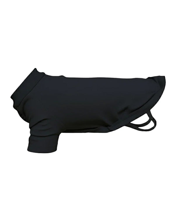 Dog’s raglan t-shirt