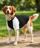 Dog’s raglan t-shirt — lifestyle