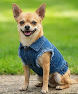 Dog’s denim jacket — lifestyle