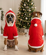 Dog’s Santa hoodie — lifestyle