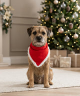 Dog’s Christmas bandana — lifestyle