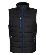 Navigate thermal bodywarmer — Black/New Royal