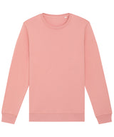 Roller unisex crew neck sweatshirt (STSU868) — Canyon Pink
