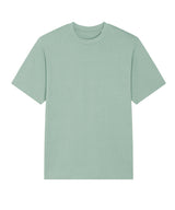 Freestyler relaxed heavy t-shirt (STTU788) — Aloe