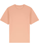 Freestyler relaxed heavy t-shirt (STTU788) — Fraiche Peche