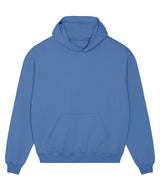 Unisex Cooper dry hoodie sweatshirt (STSU797) — Bright Blue