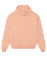 Unisex Cooper dry hoodie sweatshirt (STSU797) — Fraiche Peche