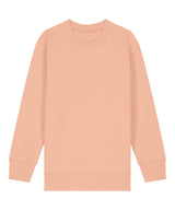 Kids Mini Changer 2.0 iconic crew neck sweatshirt (STSK181) — Fraiche Peche