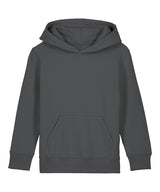 Kids Mini Cruiser 2.0 iconic hoodie sweatshirt (STSK180) — Anthracite