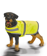 Hi-vis dog vest (HVDW15) — lifestyle