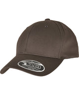 Flexfit 110 curved visor snapback — Dark Grey