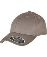 Flexfit 110 curved visor snapback — Grey