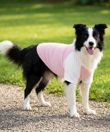 Dog’s raglan t-shirt — lifestyle 2