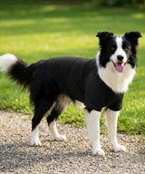 Dog’s raglan t-shirt — lifestyle 3