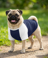 Dog’s raglan t-shirt — lifestyle 6