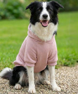 Dog’s hoodie — lifestyle 2