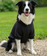 Dog’s hoodie — lifestyle 3