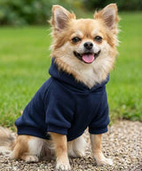 Dog’s hoodie — lifestyle 5