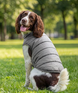 Dog’s puffer jacket — lifestyle 4