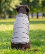 Dog’s puffer jacket — lifestyle 5