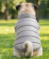 Dog’s puffer jacket — lifestyle 6