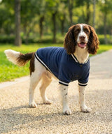 Dog’s varsity jacket — lifestyle 2
