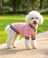 Dog’s varsity jacket — lifestyle 3