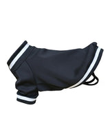 Dog’s varsity jacket — lifestyle 4