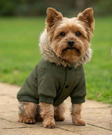 Dog’s parka jacket — lifestyle 2