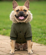Dog’s parka jacket — lifestyle 3