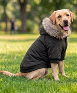 Dog’s parka jacket — lifestyle 5