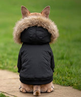 Dog’s parka jacket — lifestyle 6