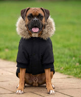 Dog’s parka jacket — lifestyle 7