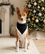Dog’s Christmas bandana — lifestyle 2