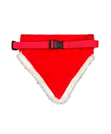 Dog’s Christmas bandana — lifestyle 6